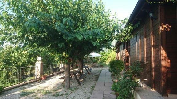 La Quiete Villa Montenero di Bisaccia Exterior photo